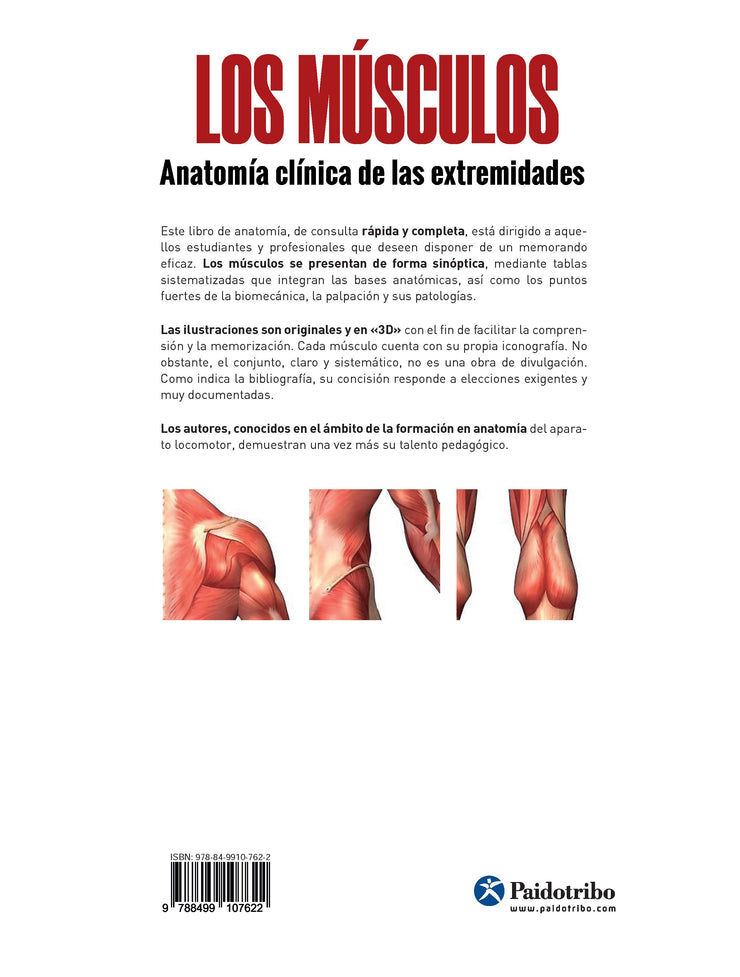 LOS MÚSCULOS. Anatomía clínica de las extremidades