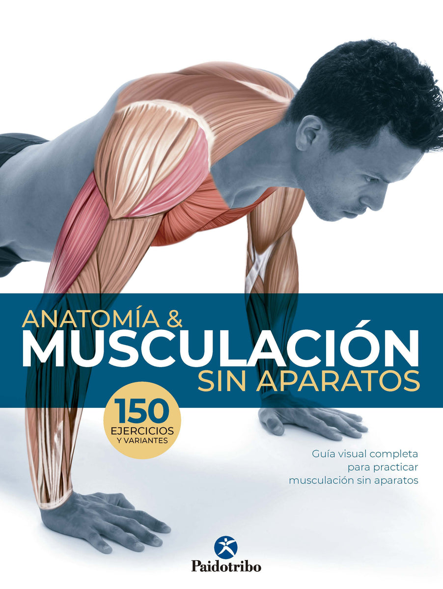 ANATOMÍA MUSCULACIÓN SIN APARATOS – Paidotribo