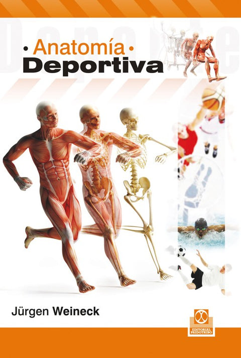 ANATOMÍA DEPORTIVA – Paidotribo - Main Image
