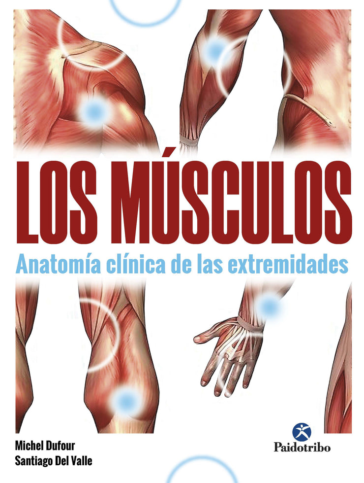LOS MÚSCULOS. Anatomía clínica de las extremidades