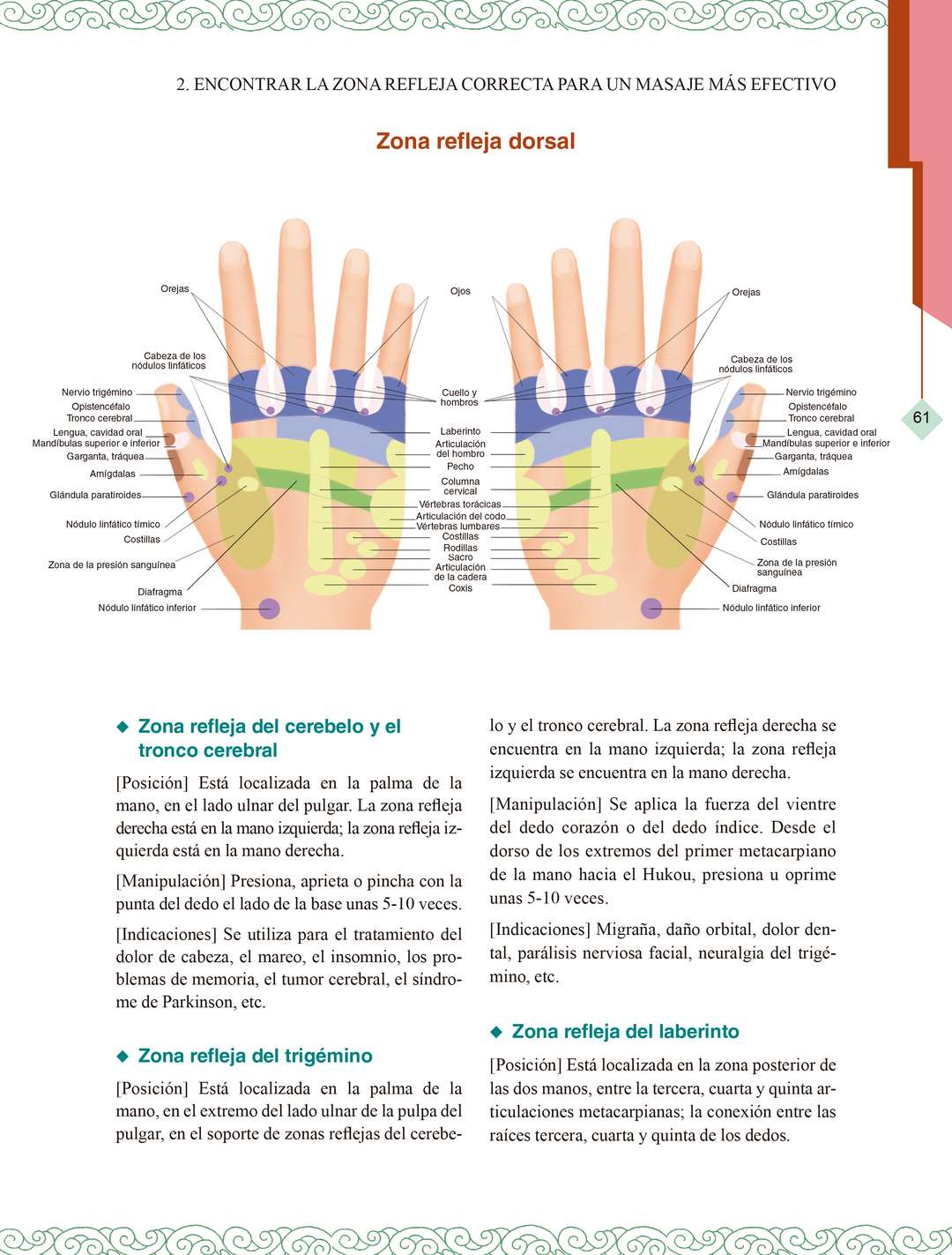 MASAJE TERAPÉUTICO EFECTIVO – Paidotribo - Main Image