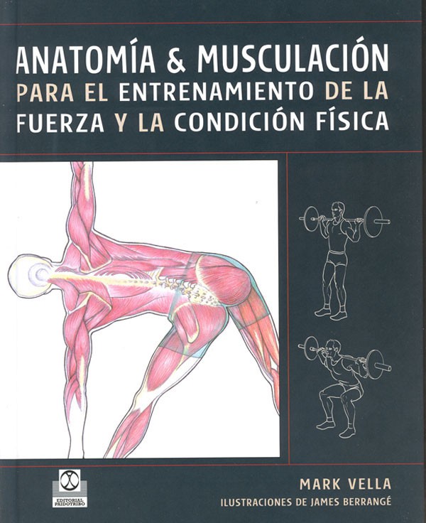 Ejercicios Musculares Enciclopedia De Musculación Y Fuerza Pdf