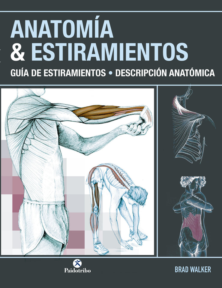ANATOMÍA & ESTIRAMIENTOS. Guía de estiramientos. Descripción anatómica